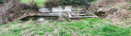 2024-03-12-Randan03