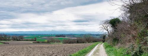 2024-03-12-Randan05