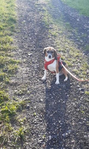 2024-03-21-StSylvestre10