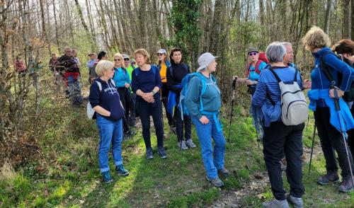 2024-03-21-StSylvestre15