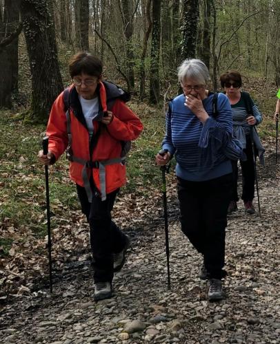 2024-03-21-StSylvestre16