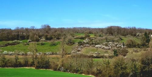 2024-03-21-StSylvestre20