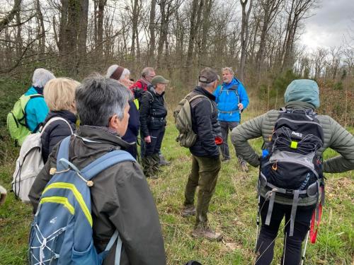 2024-03-28-StDidier16