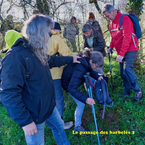 2024-04-02-Molles05