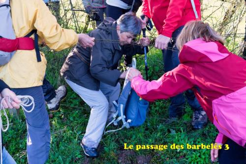 2024-04-02-Molles06