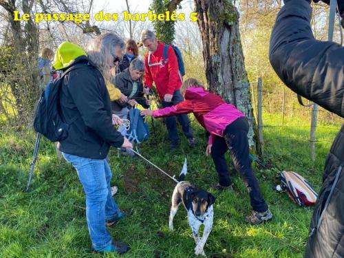 2024-04-02-Molles15
