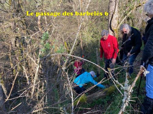 2024-04-02-Molles19
