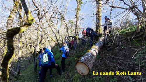 2024-04-02-Molles26