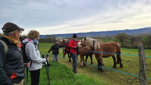 2024-04-04-Mons02 (1)