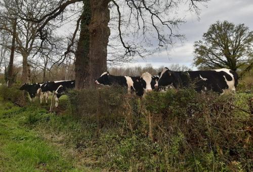 2024-04-04-Mons05 (1)