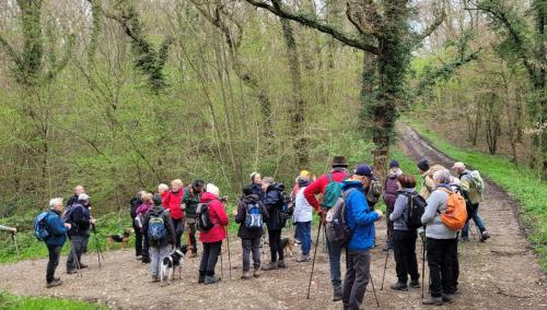 2024-04-04-Mons11 (1)