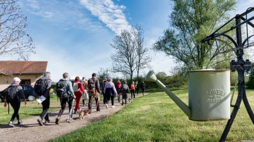 2024-04-11-Fleuriel06