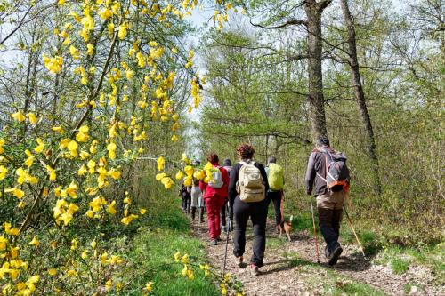 2024-04-11-Fleuriel09