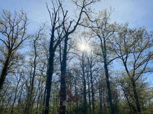 2024-04-11-Fleuriel25