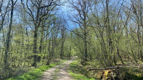 2024-04-11-Fleuriel26