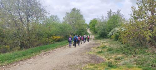2024-04-16-Cusset13