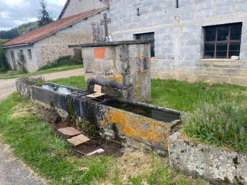 2024-04-16-Nizerollet05