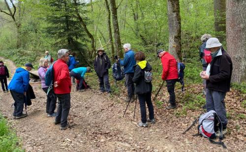 2024-04-16-Nizerollet09