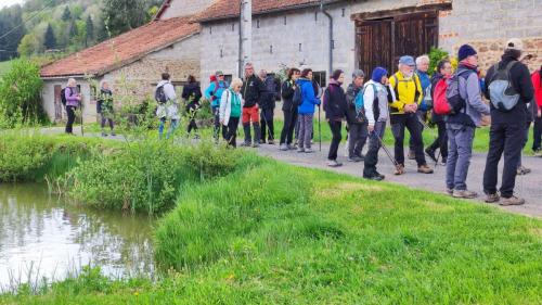 2024-04-16-Nizerollet12
