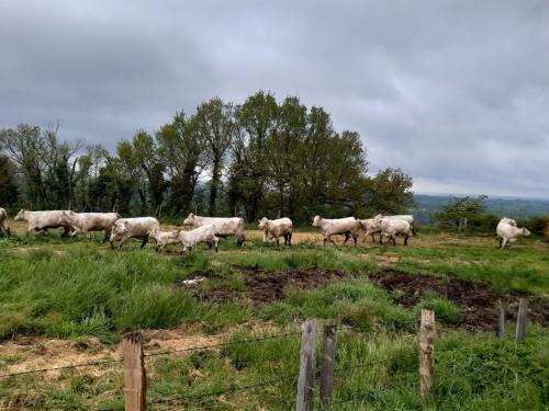 2024-04-18-Etroussat09