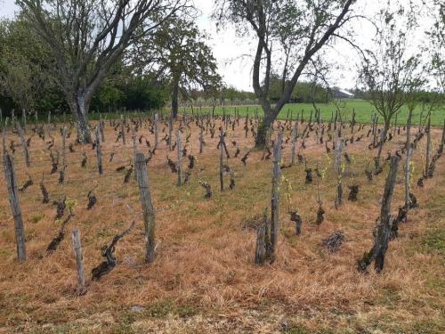 2024-04-18-Etroussat16
