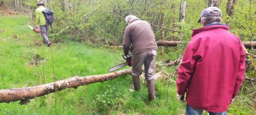 2024-04-26-Nettoyage02