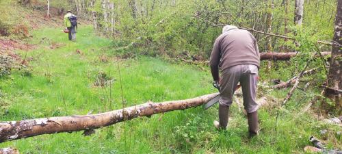 2024-04-26-Nettoyage03