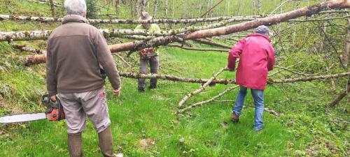 2024-04-26-Nettoyage04