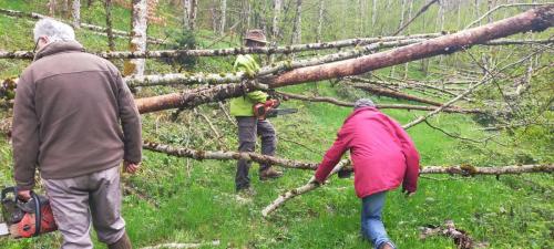 2024-04-26-Nettoyage05 (1)