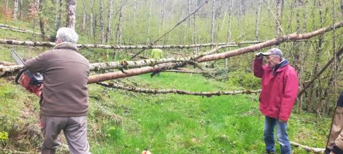 2024-04-26-Nettoyage06