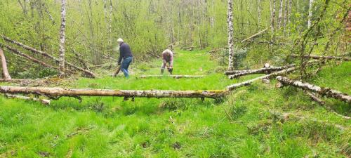 2024-04-26-Nettoyage07