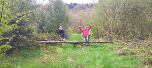 2024-04-26-Nettoyage08