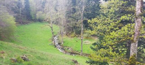 2024-04-26-Nettoyage10