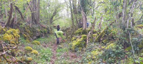 2024-04-26-Nettoyage11