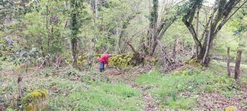 2024-04-26-Nettoyage12