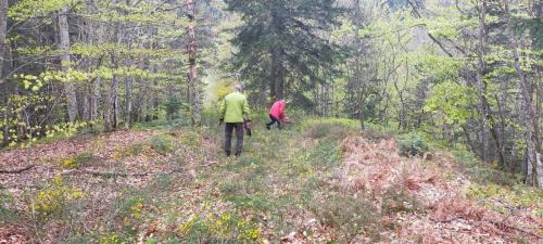 2024-04-26-Nettoyage13