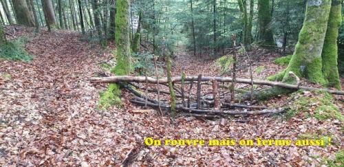 2024-04-26-Nettoyage14