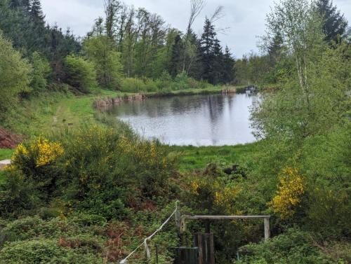 2024-05-02-ChatelM02