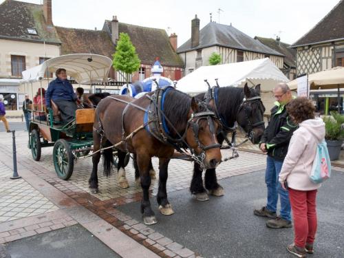 2024-05-05-Aubigny11