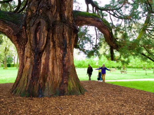 2024-05-05-Aubigny13