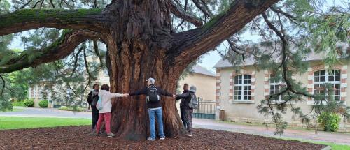 2024-05-05-Aubigny17