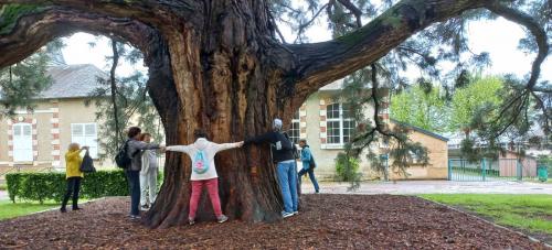 2024-05-05-Aubigny35