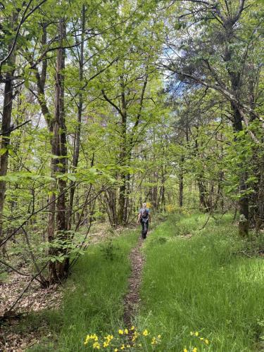 2024-05-07-Barrais01