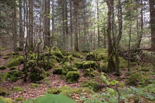 2024-05-20-Rousses13