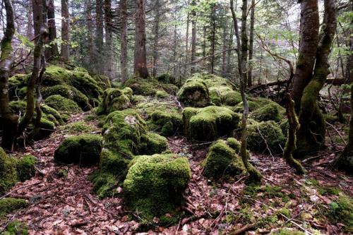 2024-05-20-Rousses14