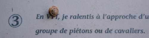 2024-05-20-Rousses15