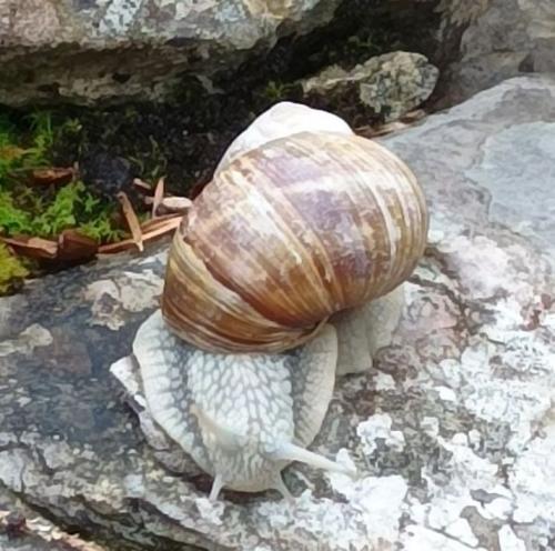 2024-05-21-LesRousses02