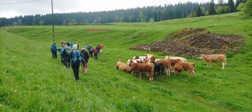 2024-05-21-LesRousses04