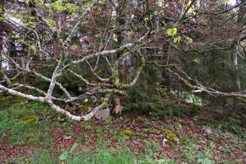 2024-05-21-LesRousses07