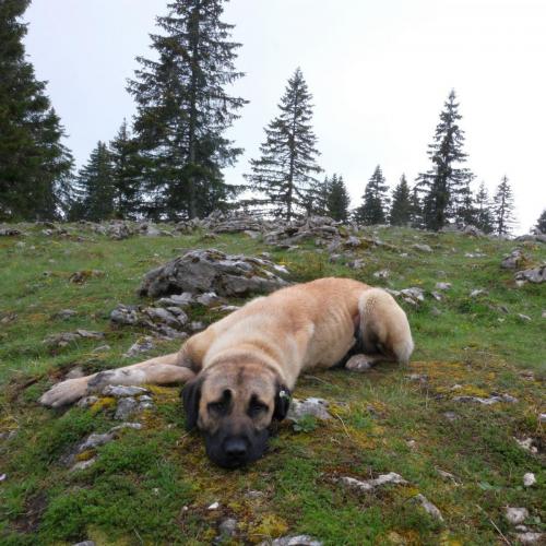 2024-05-21-LesRousses13